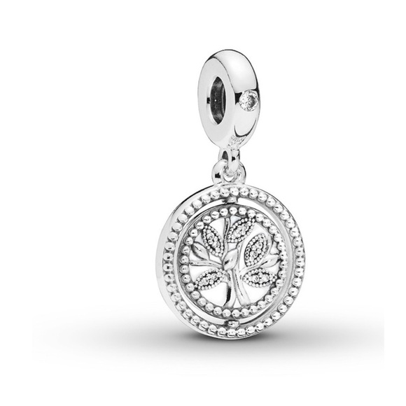 Family Circle of Love Rotating Charm - Picture 1 of 6